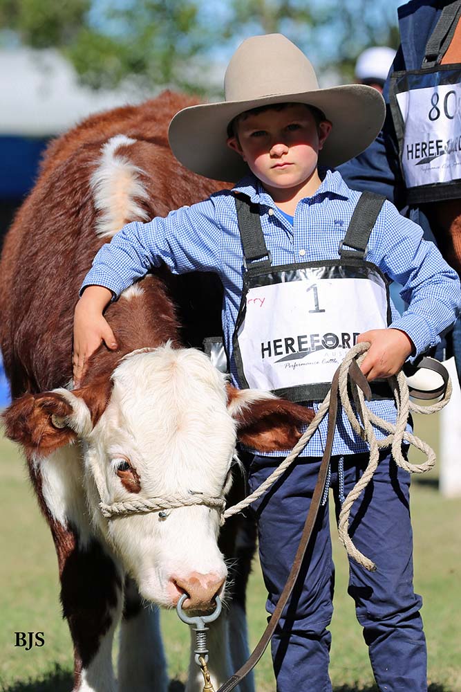 Harry at the Herefords Australia National Youth Show at Pittsworth, July 2017
