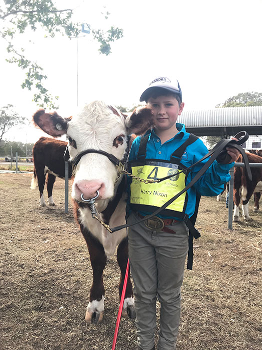 Harry at the Queensland Herefords Youth Heifer Show 2019